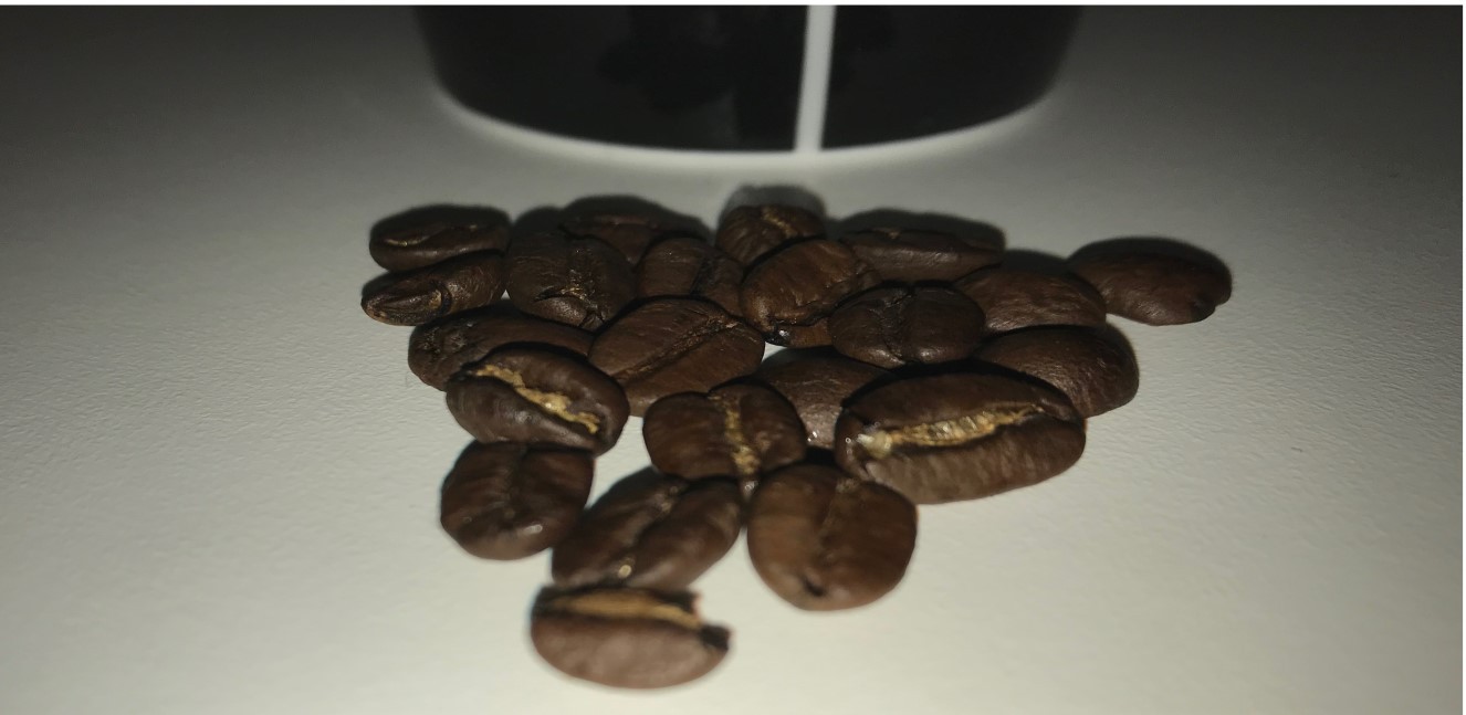 Kaffeb&ouml;na